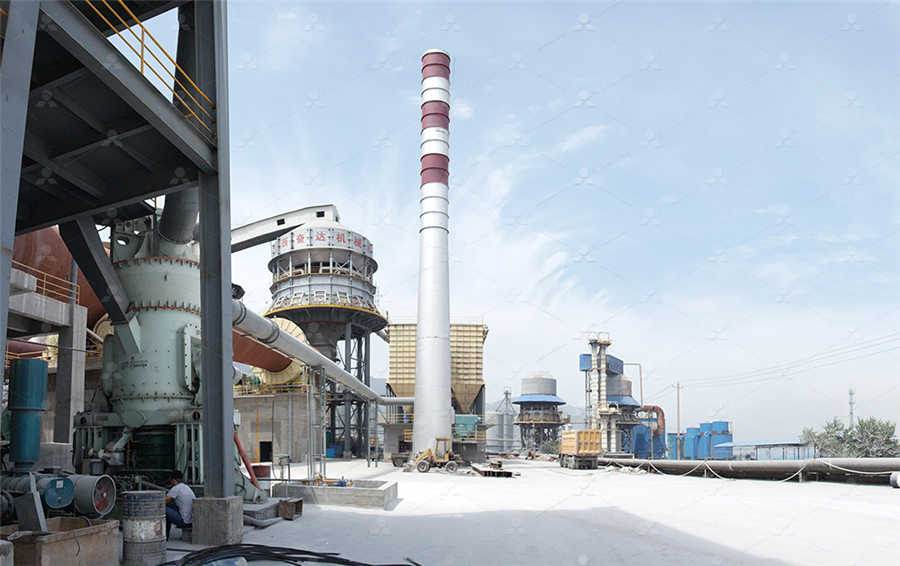 福建南平磨粉机厂  